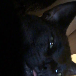 Meet your Posher, Briana